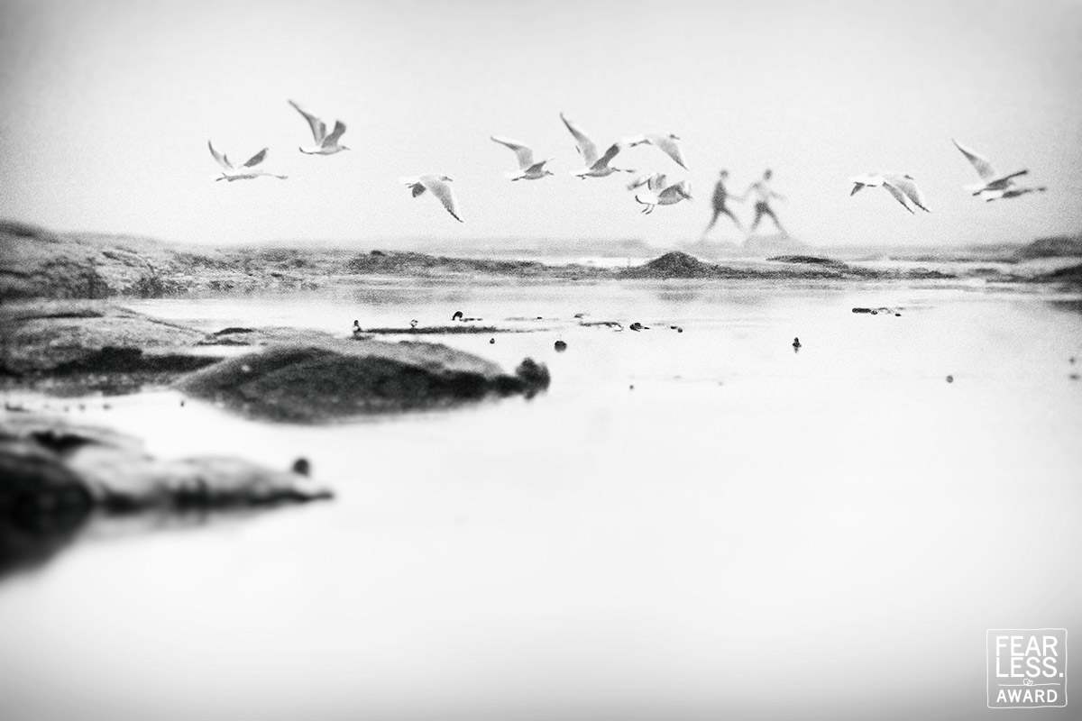 Arnaud Chapelle gallery photo