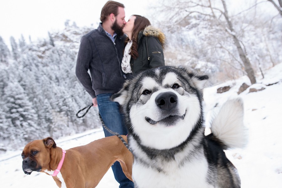 Sean Lara portfolio photo