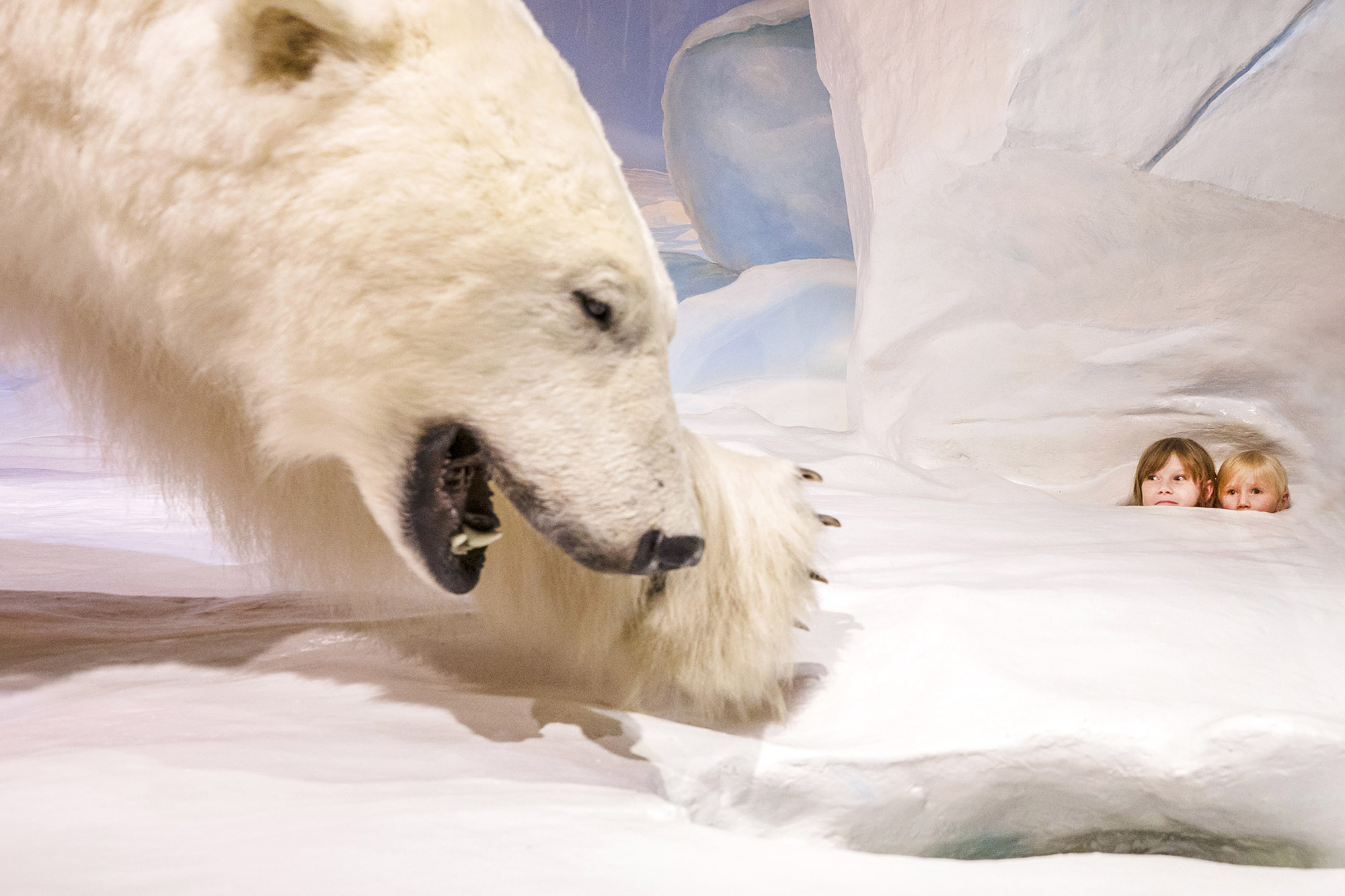 Family photo by Jessica Hodgson