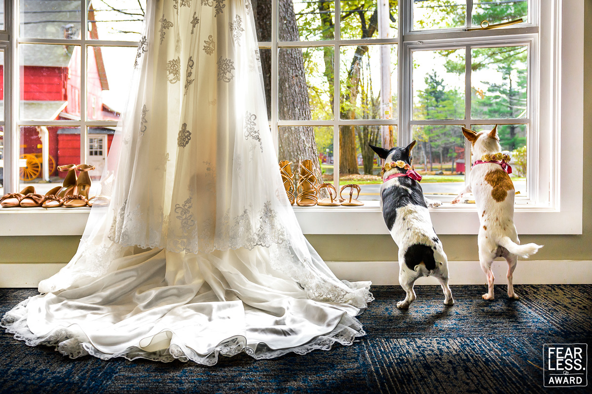 Kelly Giardina gallery photo