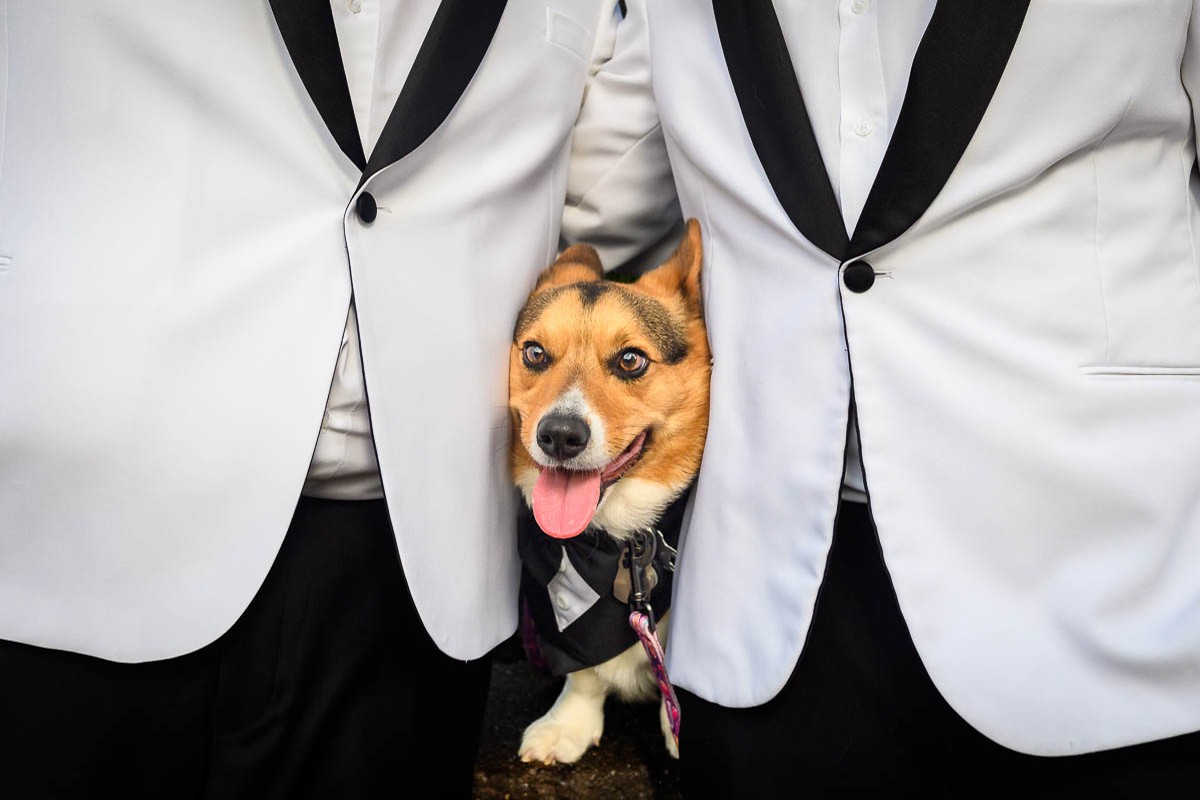 Kelly Giardina portfolio photo