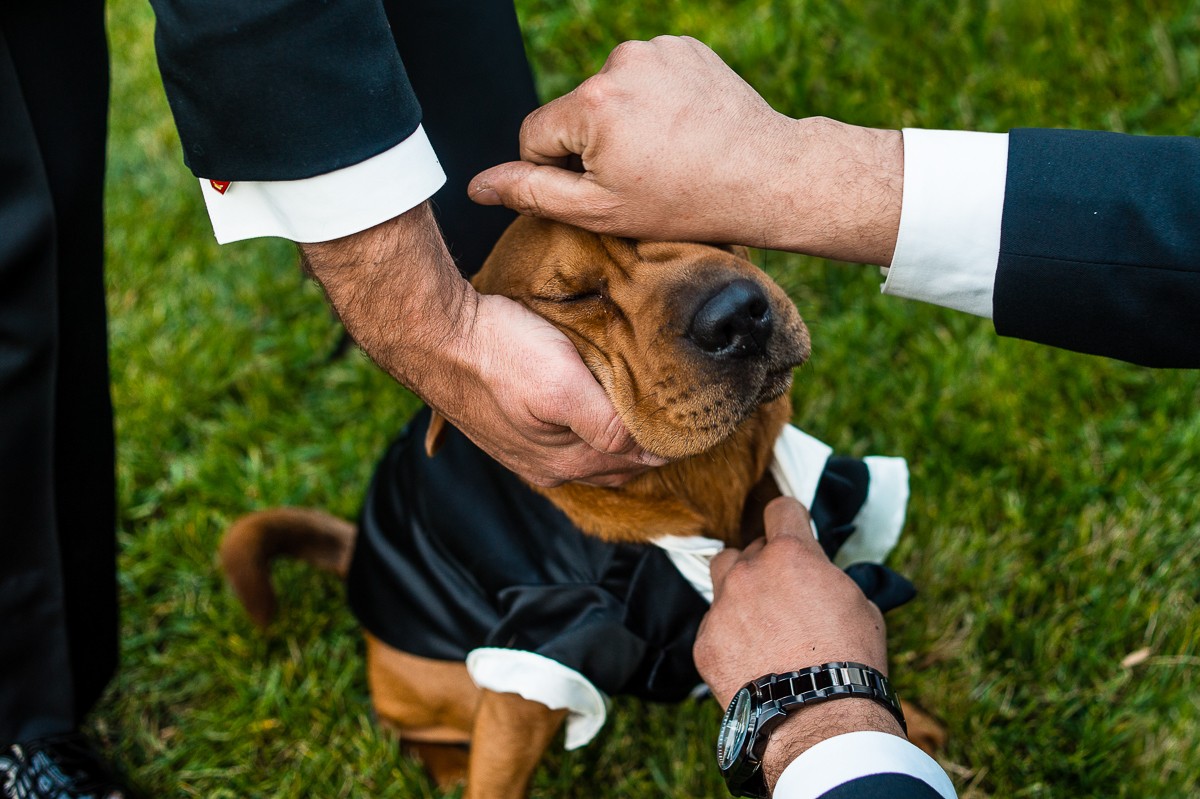 Lauren Brimhall portfolio photo