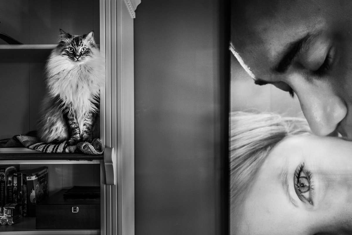 Marnix de Stigter portfolio photo