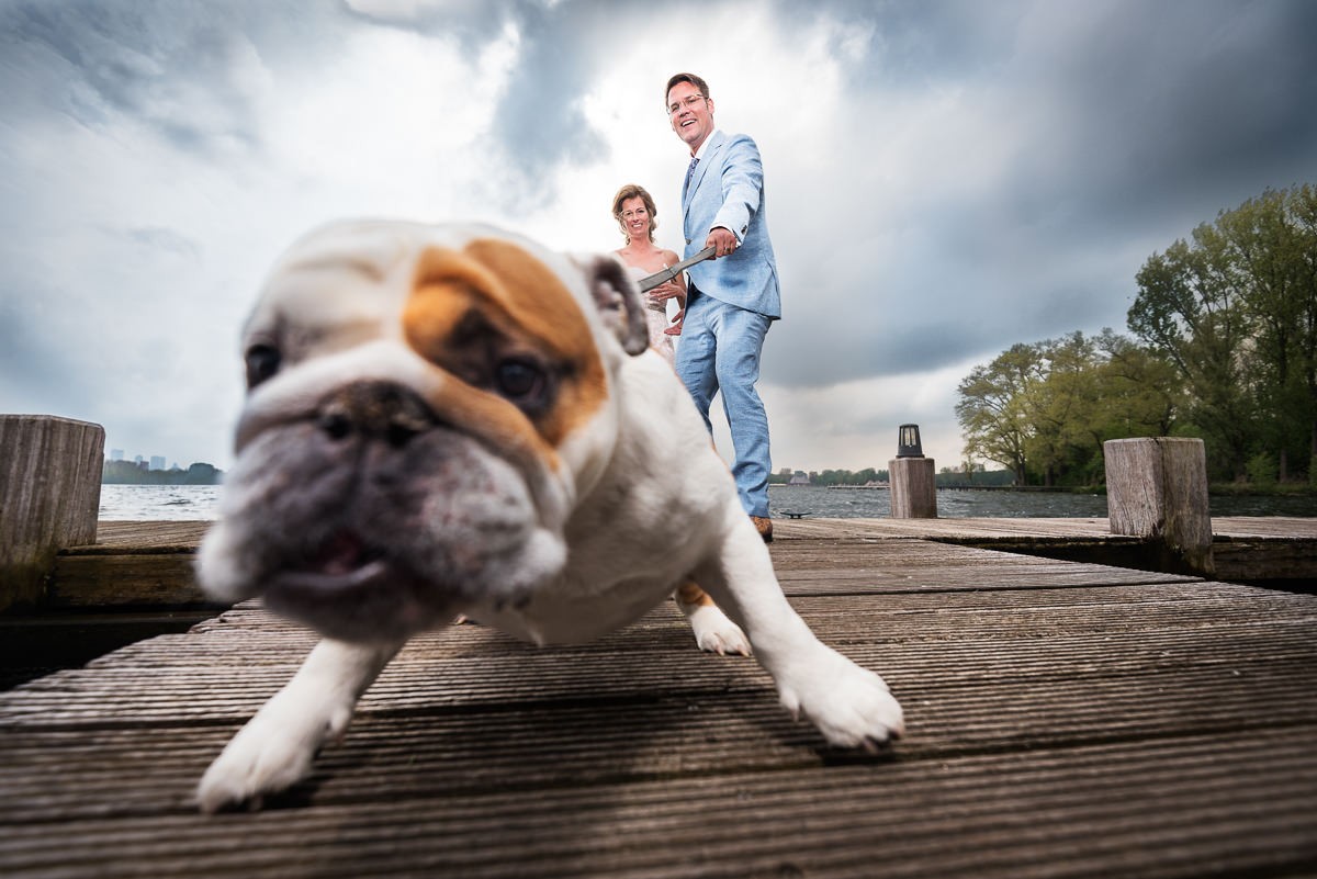 Marnix de Stigter portfolio photo
