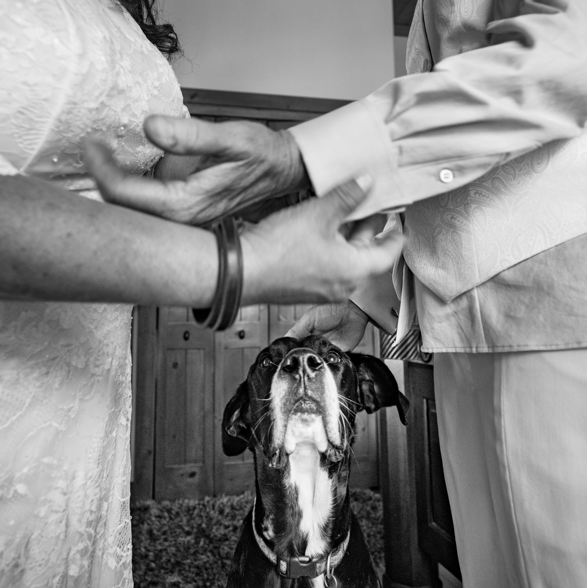 Sean Lara portfolio photo